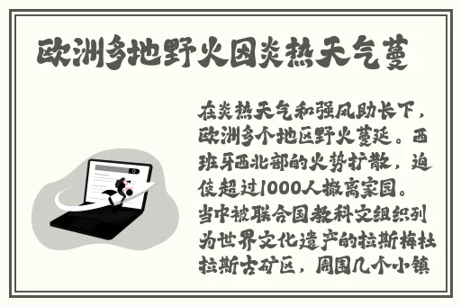 欧美人与人动人物2020